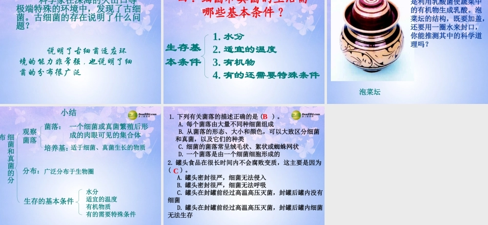 八年级生物上册 5.4.1 细菌真菌的分布课件 新人教版 课件