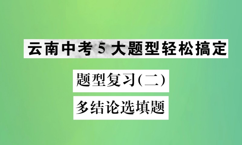 中考化学总复习 题型复习(二)多结论选填题课件