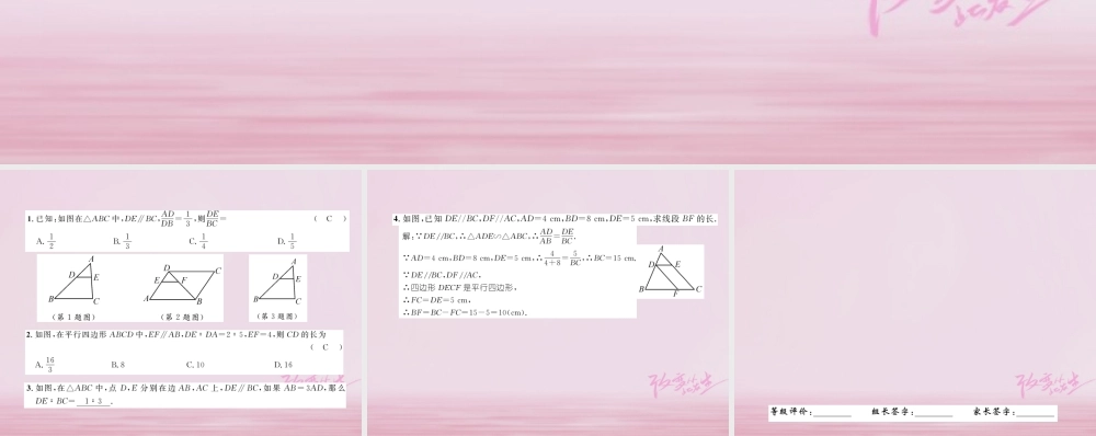 九年级数学上册 341 相似三角形的判定(第1课时)相似三角形判定的基本定理练习课件 (新版)湘教版 课件