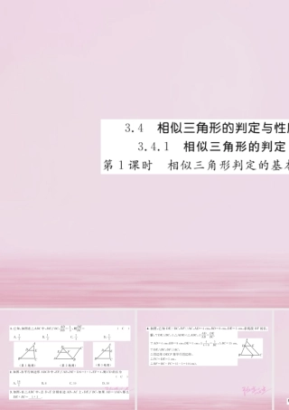 九年级数学上册 341 相似三角形的判定(第1课时)相似三角形判定的基本定理练习课件 (新版)湘教版 课件