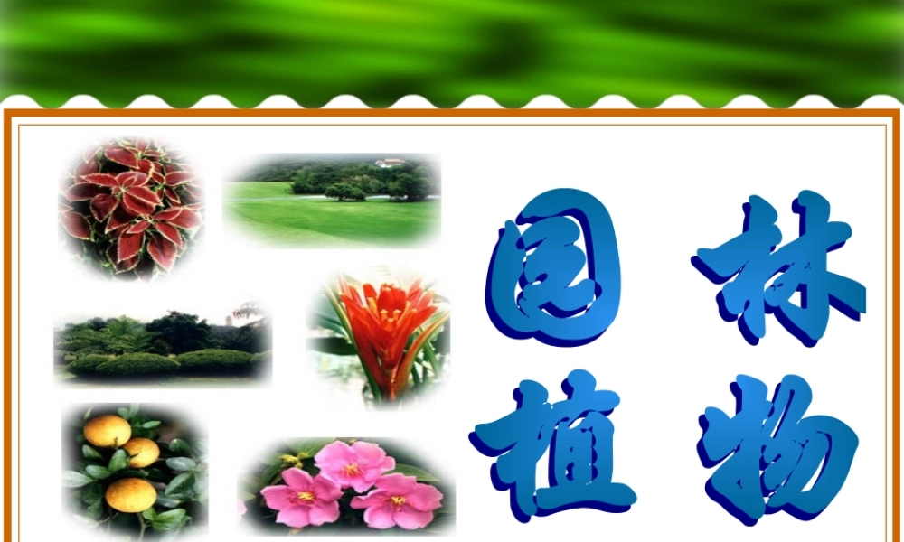 七年级生物绿化植物课件 新课标 人教版 课件