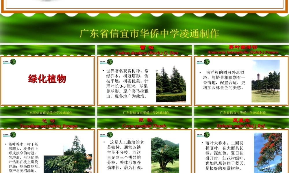 七年级生物绿化植物课件 新课标 人教版 课件