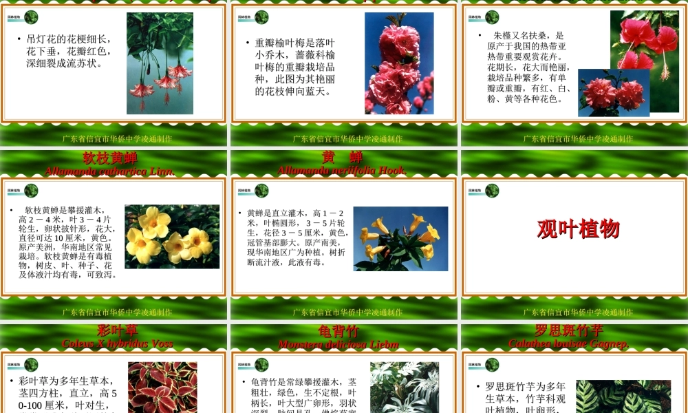 七年级生物绿化植物课件 新课标 人教版 课件