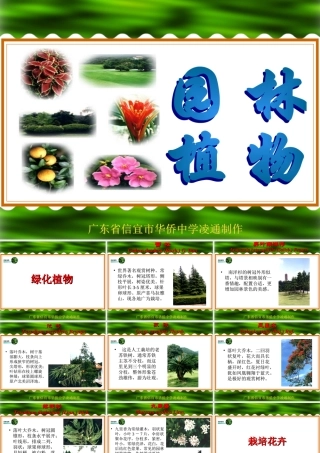 七年级生物绿化植物课件 新课标 人教版 课件