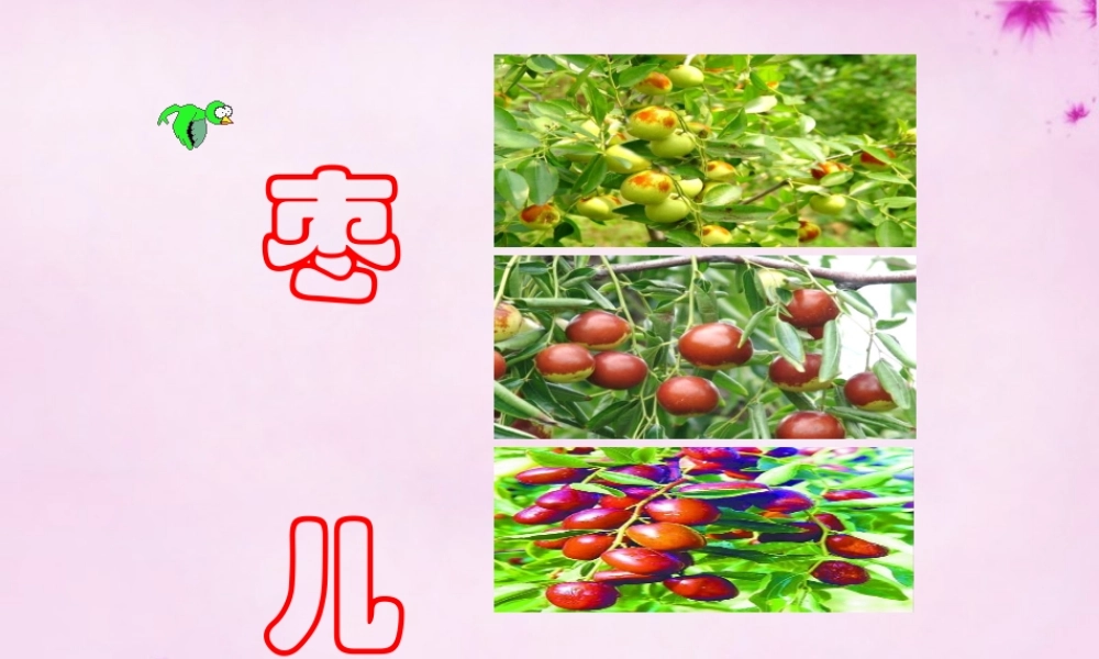 九年级语文下册 第15课(枣儿)课件 (新版)新人教版 课件