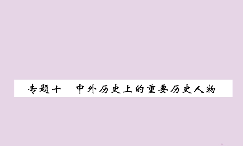 中考历史总复习 第二编 热点专题速查篇 专题10 中外历史上的重要历史人物(精练)课件