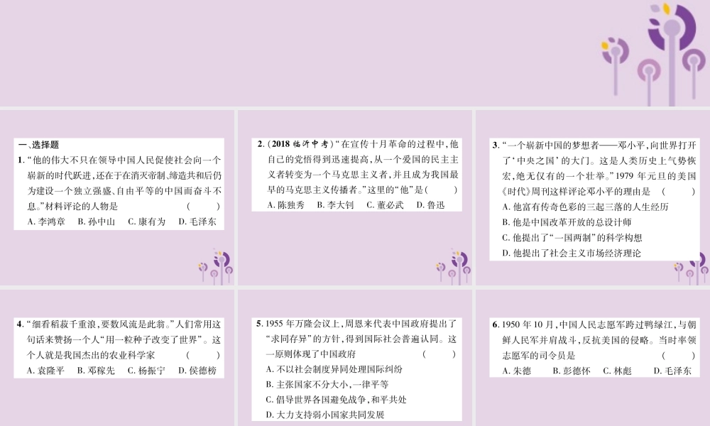 中考历史总复习 第二编 热点专题速查篇 专题10 中外历史上的重要历史人物(精练)课件