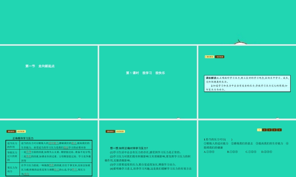 九年级政治全册 第五单元 迎接挑战 设计未来 第一节 走向新起点 第1框 我学习 我快乐课件 湘教版 课件