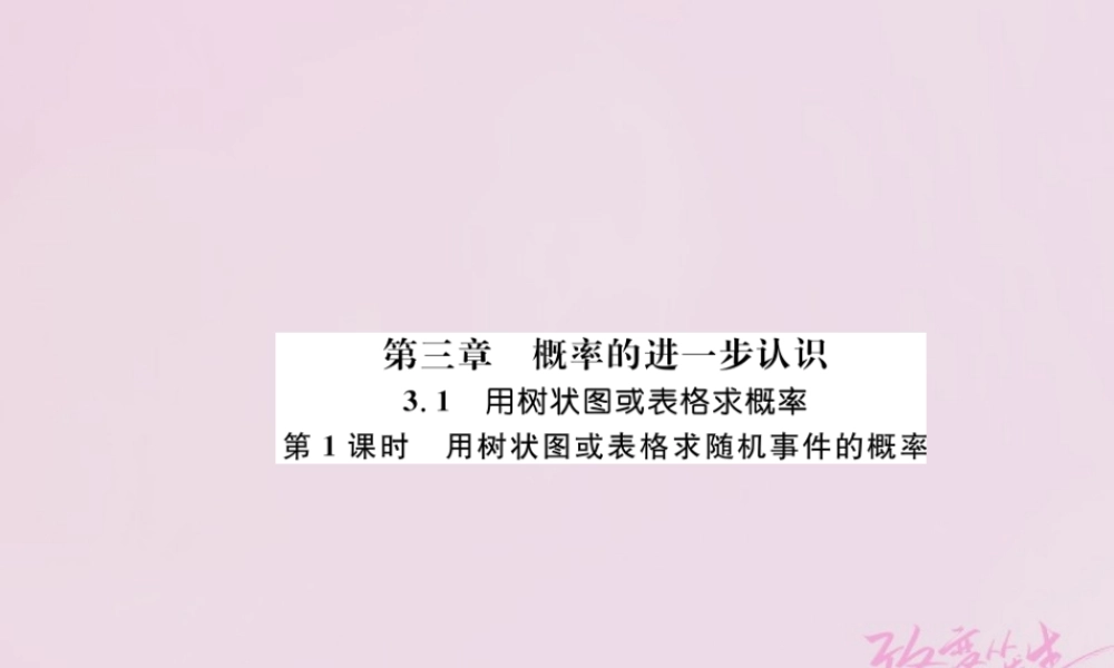九年级数学上册 31 用树状图或表格求概率 第1课时 用树状图或表格求随机事件的概率练习课件 (新版)北师大版 课件