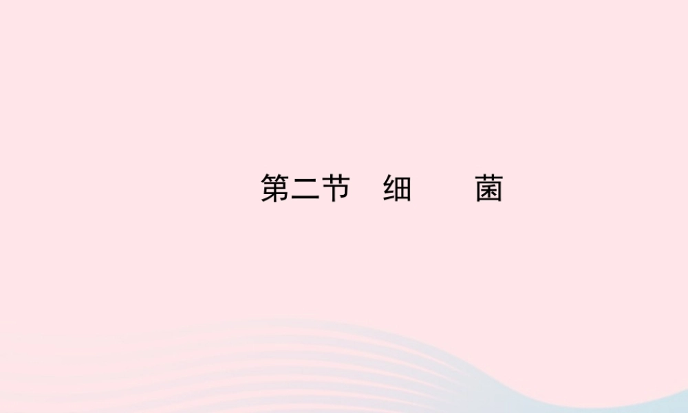 八年级生物上册 第五单元 第四章 第二节 细菌课件 (新版)新人教版 课件