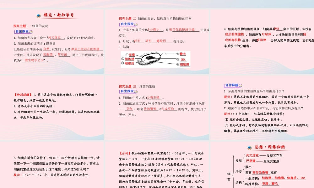 八年级生物上册 第五单元 第四章 第二节 细菌课件 (新版)新人教版 课件