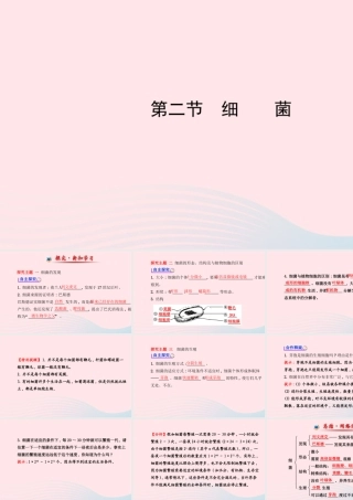 八年级生物上册 第五单元 第四章 第二节 细菌课件 (新版)新人教版 课件