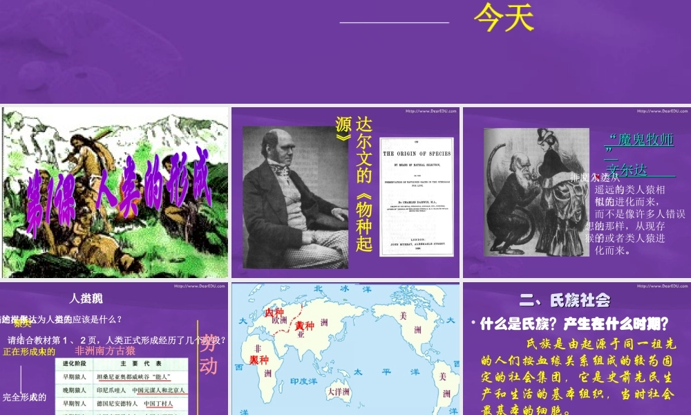 人类的形成 新课标 人教版 课件