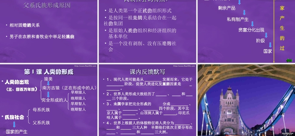 人类的形成 新课标 人教版 课件