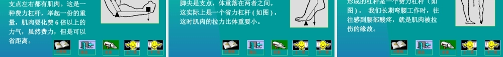 八年级物理下册 11.2(杠杆)课件 教科版 课件