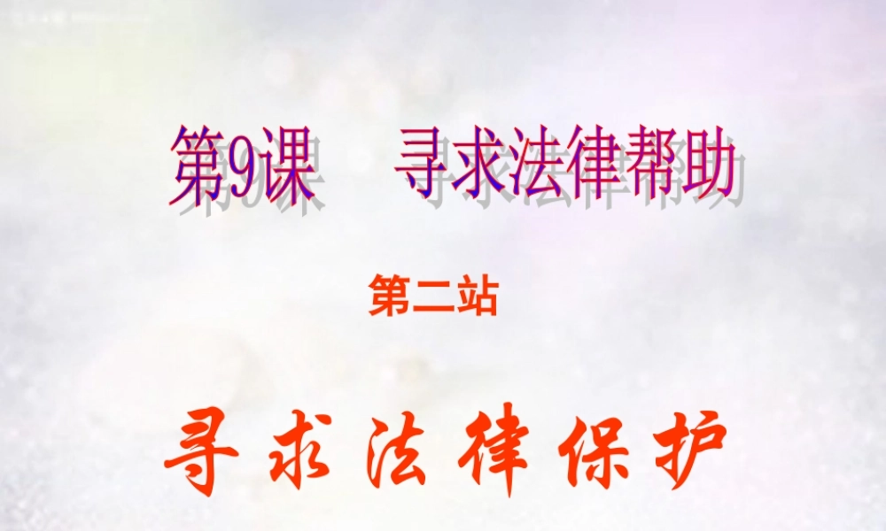 八年级政治下册 9.2 寻求法律帮助课件 北师大版 课件