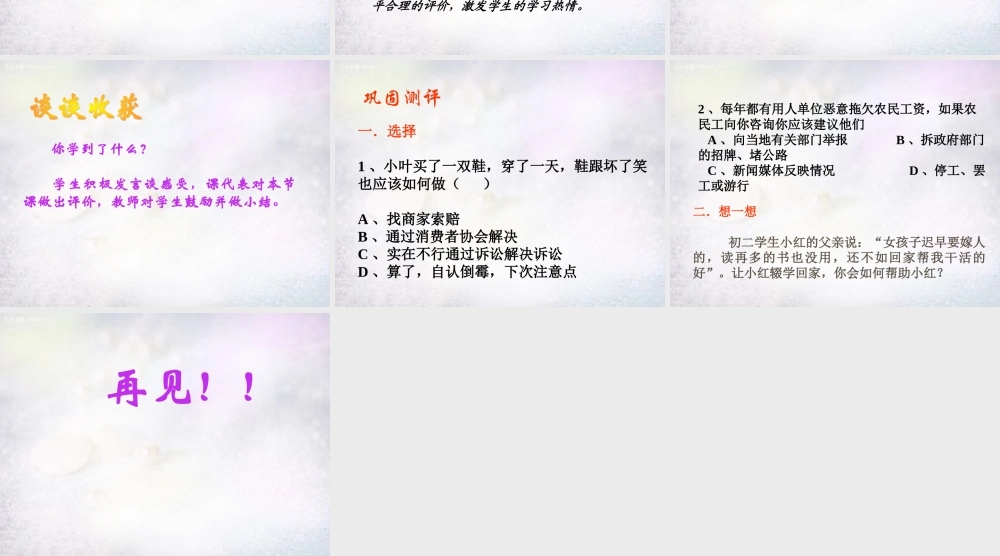 八年级政治下册 9.2 寻求法律帮助课件 北师大版 课件