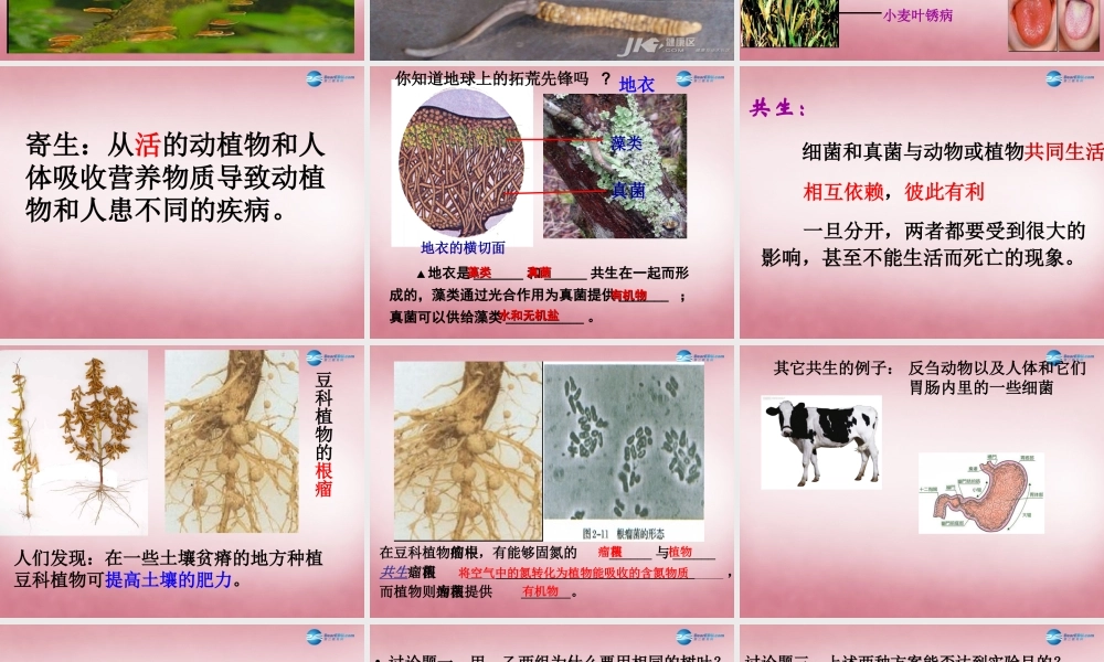 八年级生物上册 5.4.4 细菌和真菌的作用课件 (新版)新人教版 课件