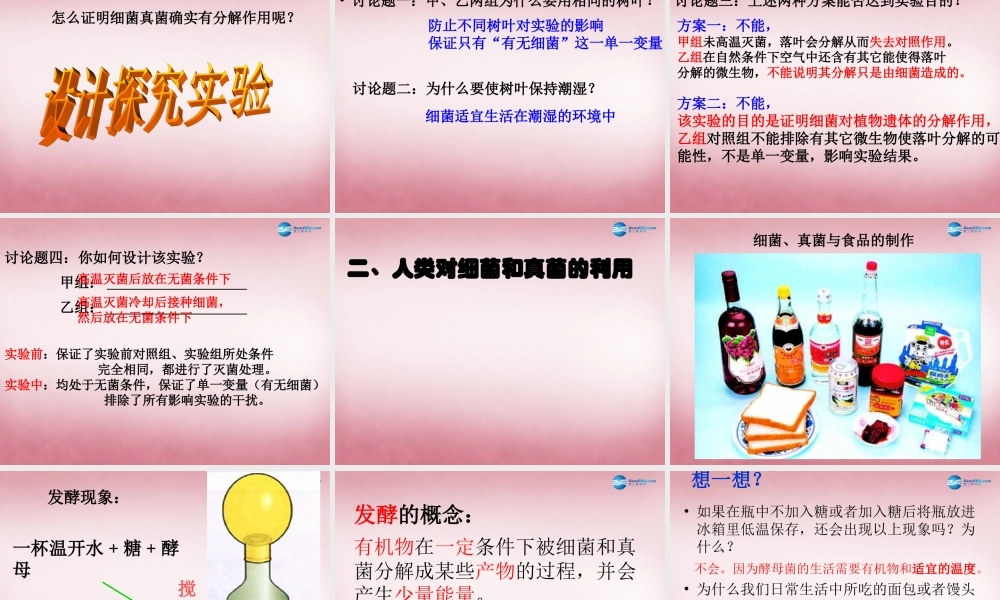 八年级生物上册 5.4.4 细菌和真菌的作用课件 (新版)新人教版 课件