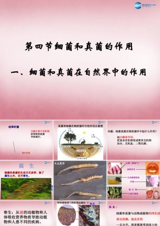 八年级生物上册 5.4.4 细菌和真菌的作用课件 (新版)新人教版 课件