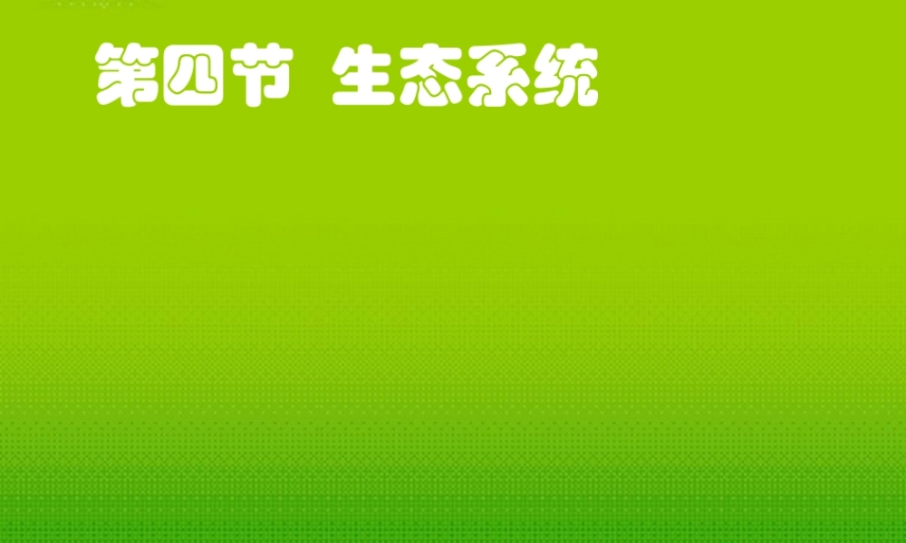七年级生物上册 第四节 生态系统课件 人教新课标版 课件