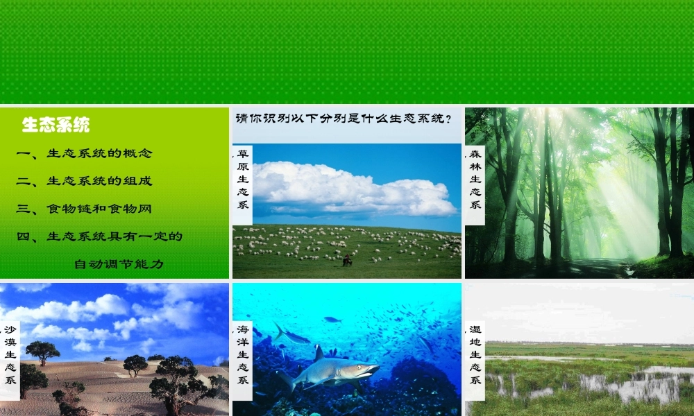 七年级生物上册 第四节 生态系统课件 人教新课标版 课件
