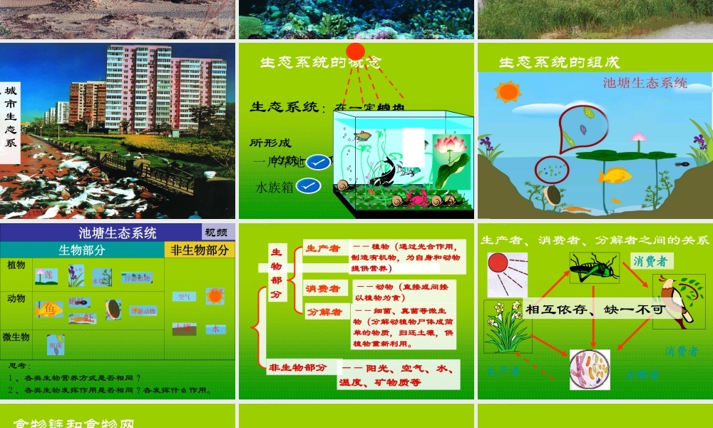 七年级生物上册 第四节 生态系统课件 人教新课标版 课件