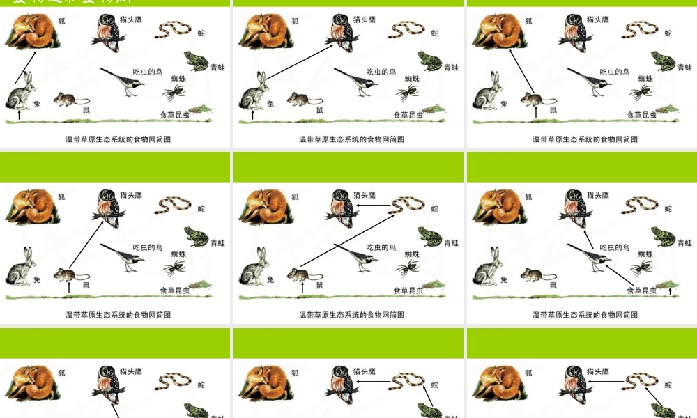 七年级生物上册 第四节 生态系统课件 人教新课标版 课件