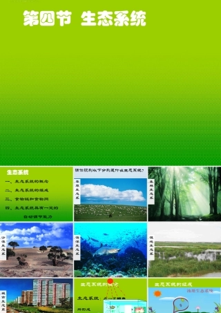 七年级生物上册 第四节 生态系统课件 人教新课标版 课件