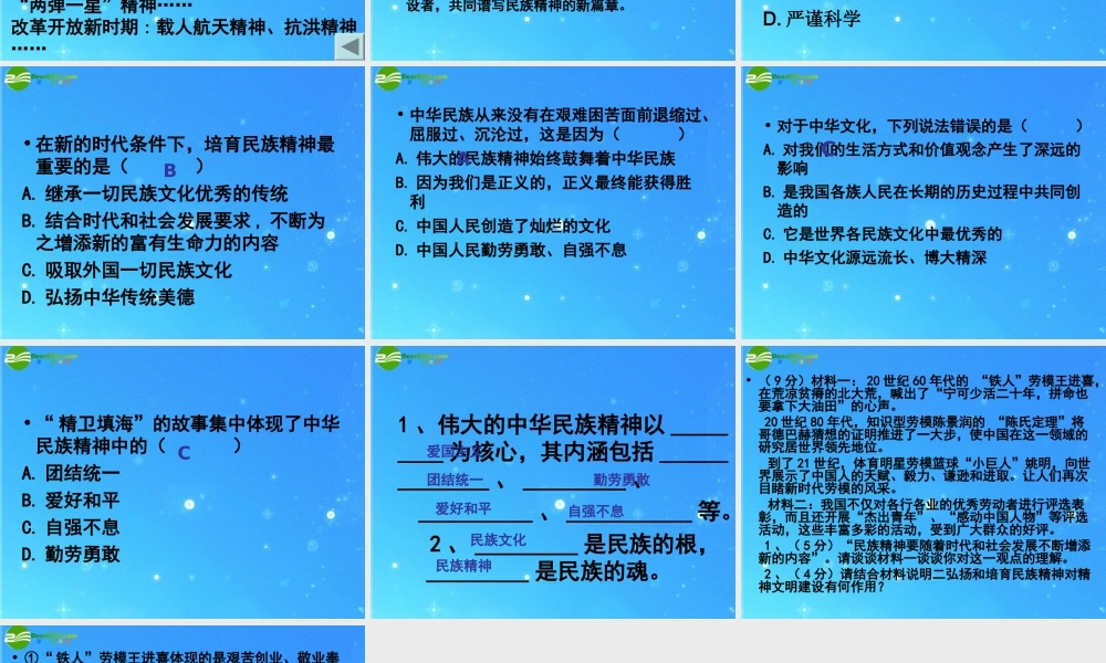 九年级政治 民族文化和民族精神复习课课件 人教新课标版 课件