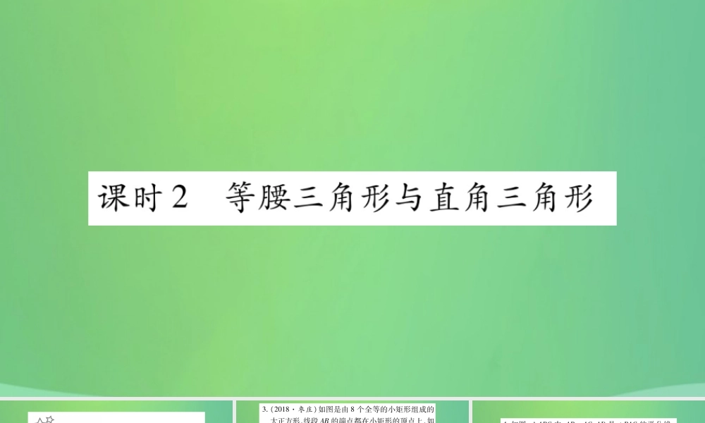 中考数学复习 第一轮 考点系统复习 第四章 三角形 第二节 三角形及其性质 课时2 等腰三角形与直角三角形(精练)课件
