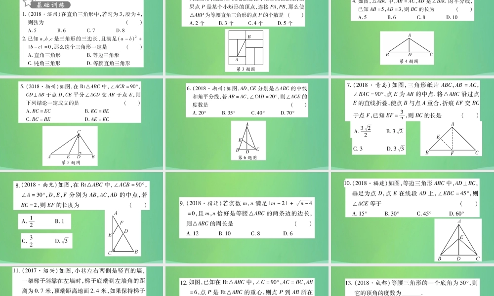 中考数学复习 第一轮 考点系统复习 第四章 三角形 第二节 三角形及其性质 课时2 等腰三角形与直角三角形(精练)课件