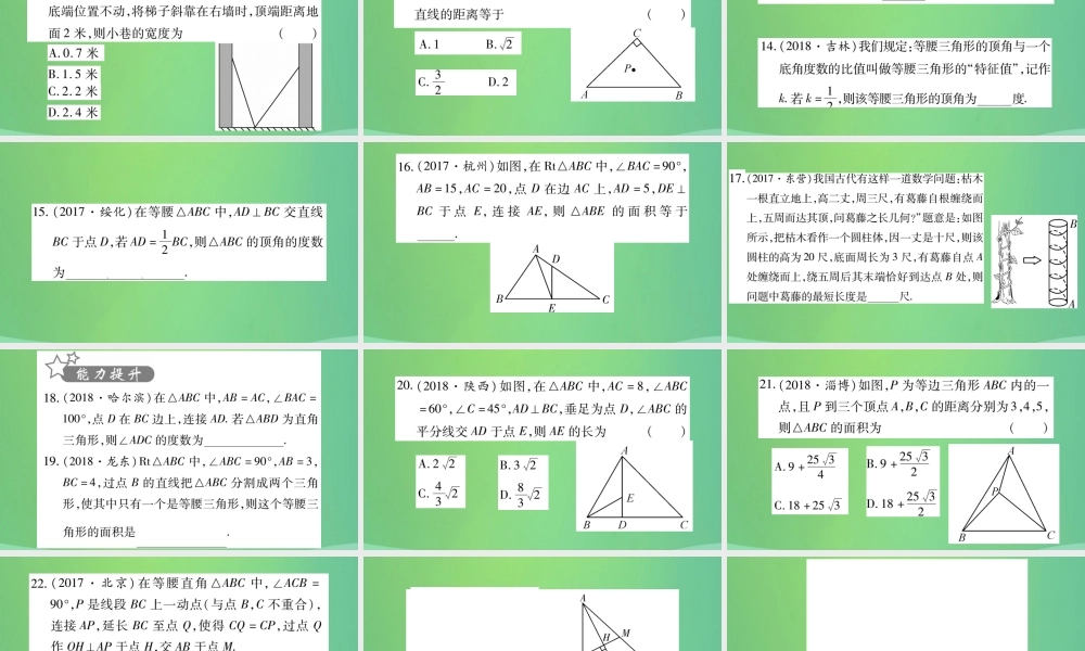 中考数学复习 第一轮 考点系统复习 第四章 三角形 第二节 三角形及其性质 课时2 等腰三角形与直角三角形(精练)课件
