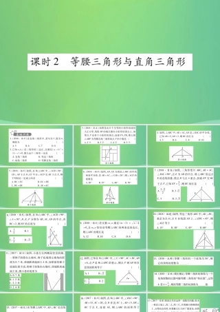 中考数学复习 第一轮 考点系统复习 第四章 三角形 第二节 三角形及其性质 课时2 等腰三角形与直角三角形(精练)课件