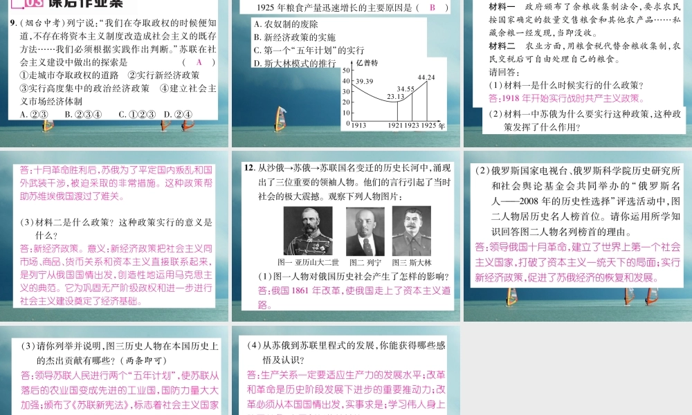九年级历史下册 第一单元 苏联社会主义道路的探索 第2课 苏联的社会主义建设作业课件 岳麓版 课件