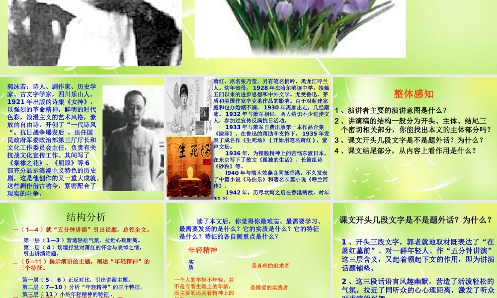 八年级语文下册 第六单元 29 在萧红墓前的五分钟讲演课件 (新版)苏教版 课件