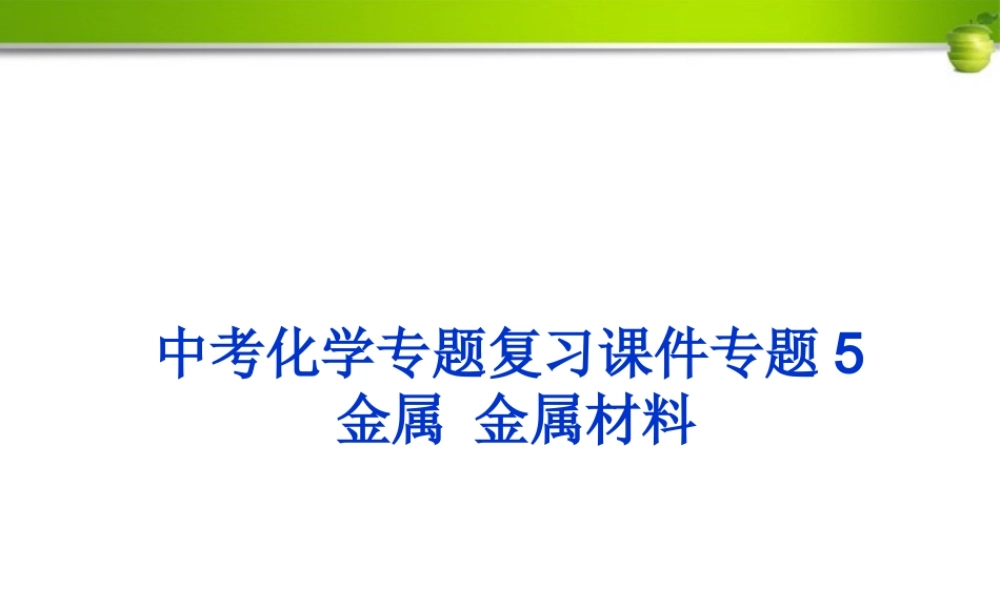 中考化学 专题5金属 金属材料复习课件