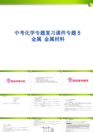中考化学 专题5金属 金属材料复习课件