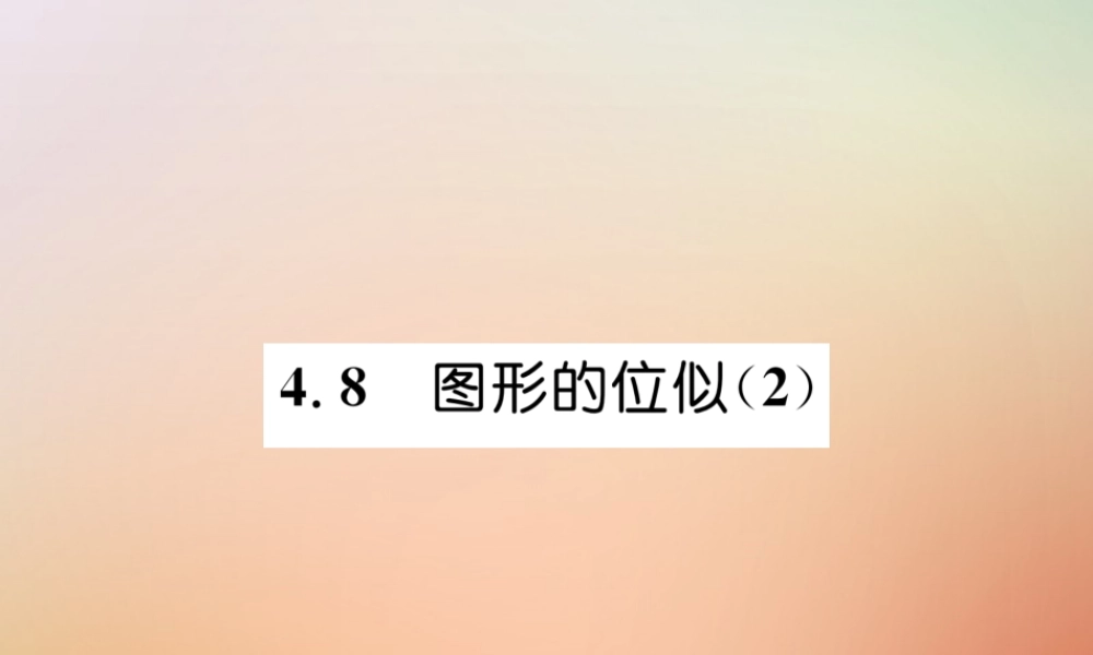 九年级数学上册 第4章 图形的相似 48 图形的位似(2)作业课件 (新版)北师大版 课件