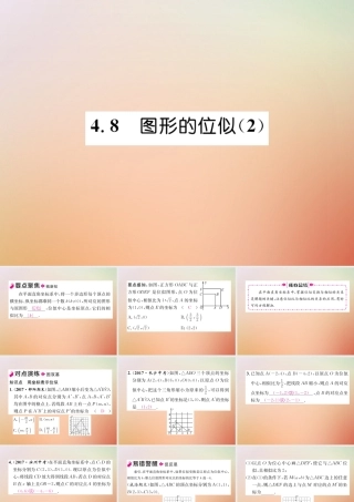 九年级数学上册 第4章 图形的相似 48 图形的位似(2)作业课件 (新版)北师大版 课件