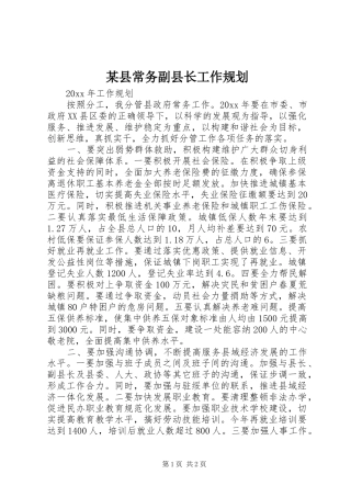 某县常务副县长工作规划