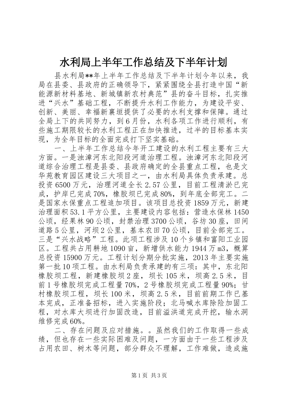水利局上半年工作总结及下半年计划_第1页