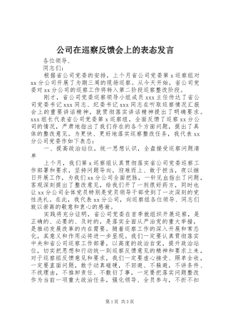 公司在巡察反馈会上的表态发言
