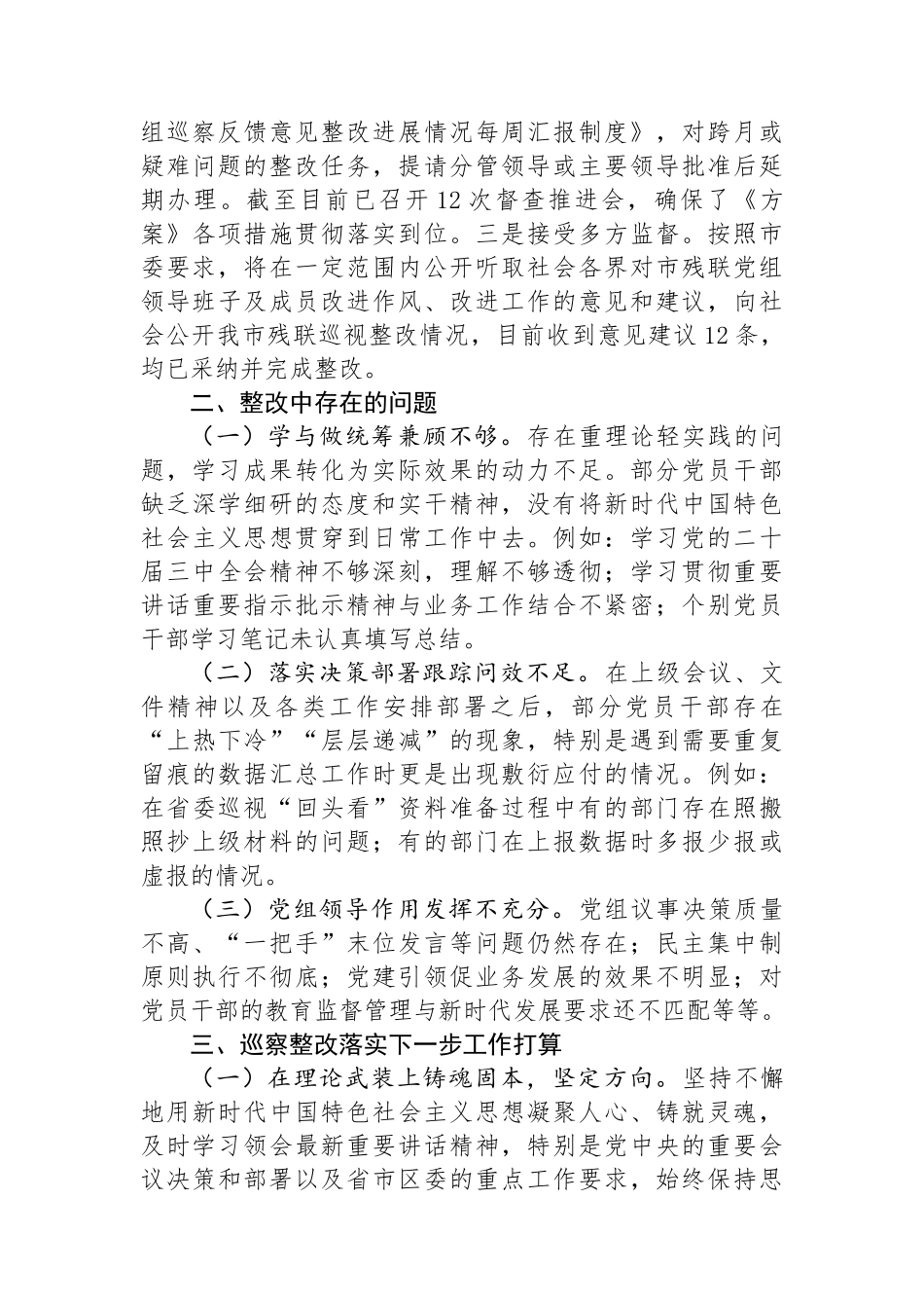 市残联2024年巡察整改工作总结_第3页