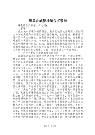 领导在城管挂牌仪式致辞