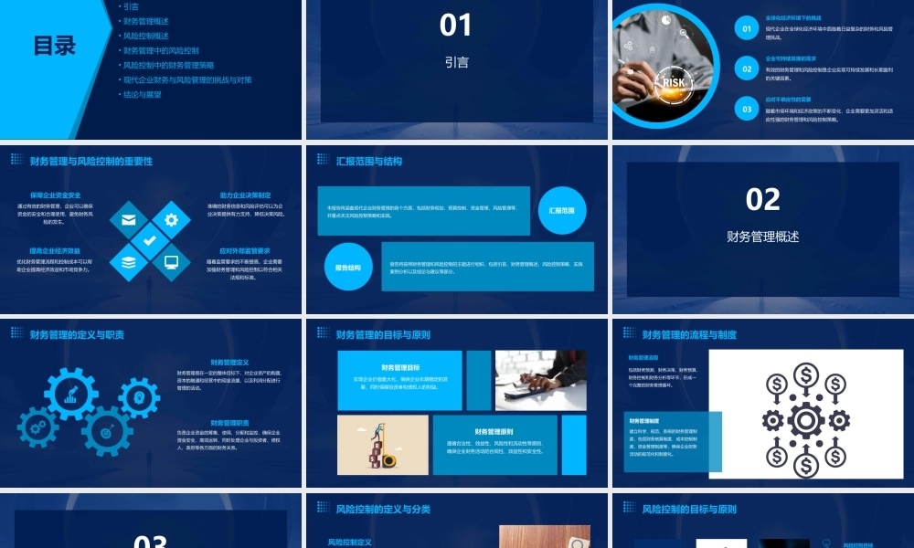 现代企业的财务管理与风险控制