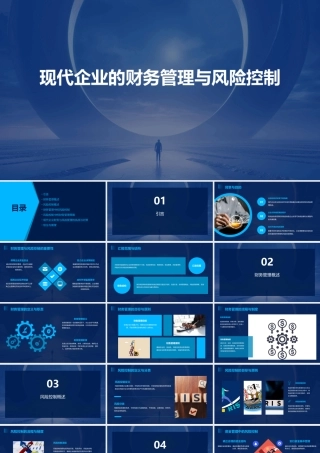 现代企业的财务管理与风险控制