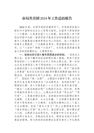 市局共青团2024年工作总结报告