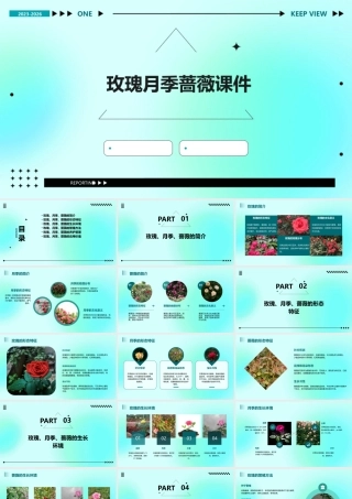 玫瑰月季蔷薇课件