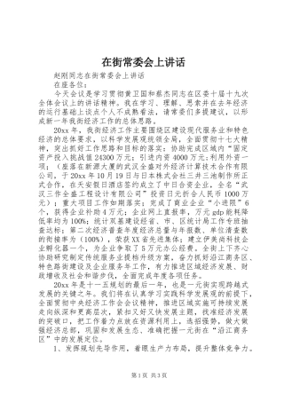 在街常委会上讲话